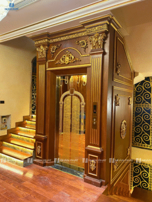 118 Thang máy cao cấp cho nhà biệt thự